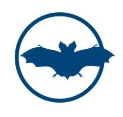 Bats.jpg (10397 bytes)